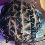 Natural Hair Two Strand Twist