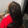 Havana Twists