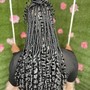 Fulani Braids(individual knotless braids in the back)