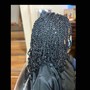 Senegalese Twist medium