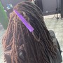 Starter Dreadlocks