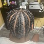 Feed in Braids