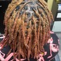 Locs partial highlights