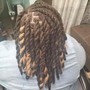 Loc Re-twist shaved sides