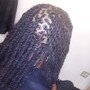 Full Hair Color for Locs