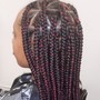 Med/ Large Box Braids