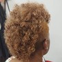 Root Touch Up