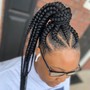 6 Feed In Braids