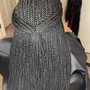 Pre-looped Crochet Braids