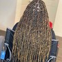 Senegalese Twist medium