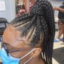 Braided Ponytail