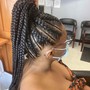 Braided Ponytail