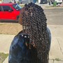 Instant Starter Locs Demo