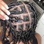 ADULT Starter Locs