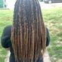 Medium Senegalese Twist