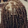 Small Butterfly Locs mid-back length