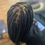 Two Strand Twist