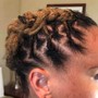 Small Box Braids