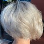 Short Hair Partial Highlight/Lowlight + Cut