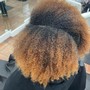 Root Touch Up