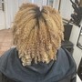 Root Touch Up