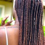 Invisible Locs (Shoulder/Midback)