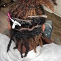 Loc Extensions