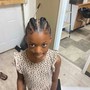 2 feeder braids