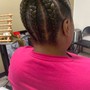 2 feeder braids