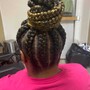 2 feeder braids