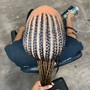 Large Layer w/ Box Braids