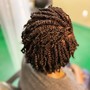 Interlock (small) Locs