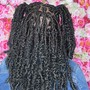 Soft locs butterfly/distressed