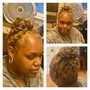 Marley twist/passion twist/two-strand twists (extensions )