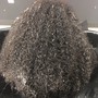 Perm (Long)