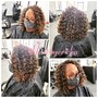 Crown Highlights / Short Hair