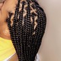 Knotless Braids w/ hair