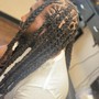 Two Strand Twists