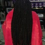 Passion Twists 10 inch - 20