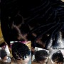 4”-10” Double Twist on Natural hair