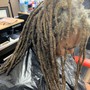 Root Touch Up