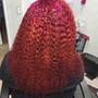 Takedown Individual Crochet/w shampoo