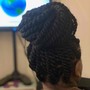 Havana Twists