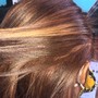 Partial Highlights