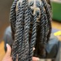 Adult Two Strand Twists