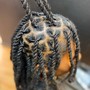 Adult Two Strand Twists