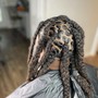 Haircut, Shampoo, Loc Re-twist(Neck Length)