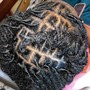 Twist Extensions (micro+)