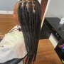 2 feed-in braids