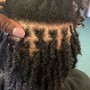 Loc Retwist with Style